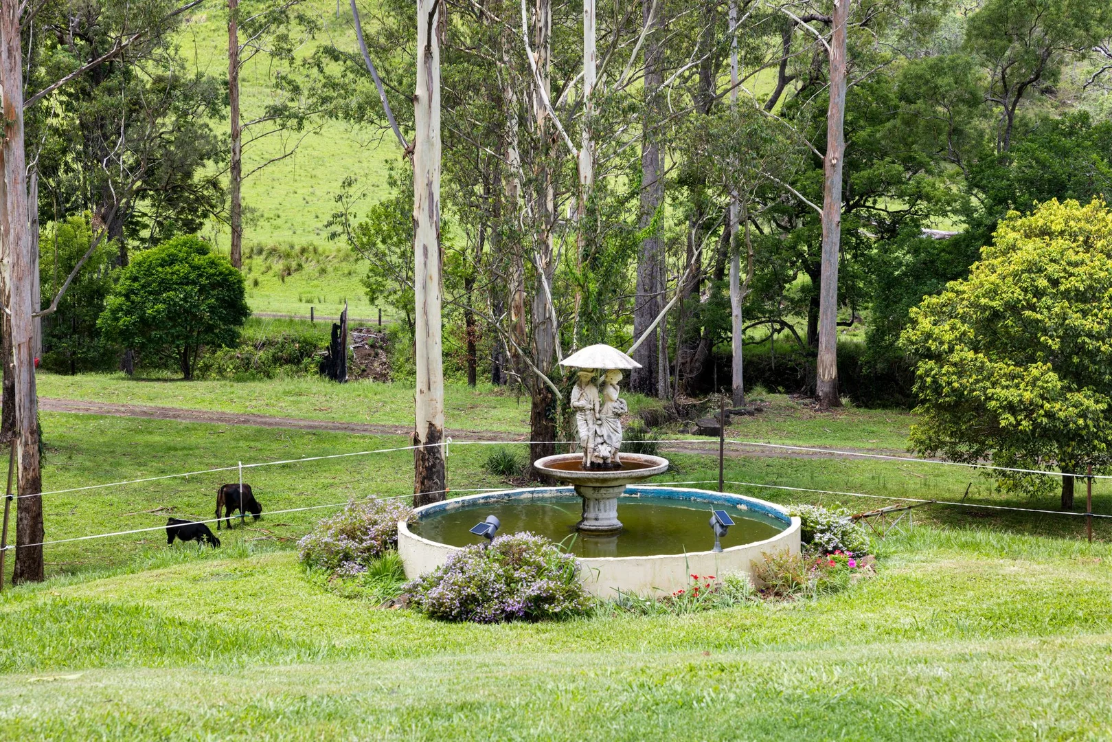 Additional image 21 of 737 Smiths Creek Road, Smiths Creek, Kyogle NSW 2474