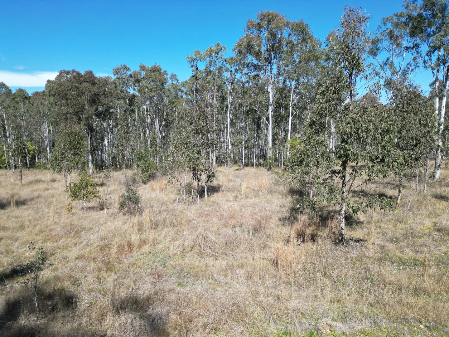 Additional image 16 of Lot 201 Paddys Flat Road, Tooloom NSW 2475