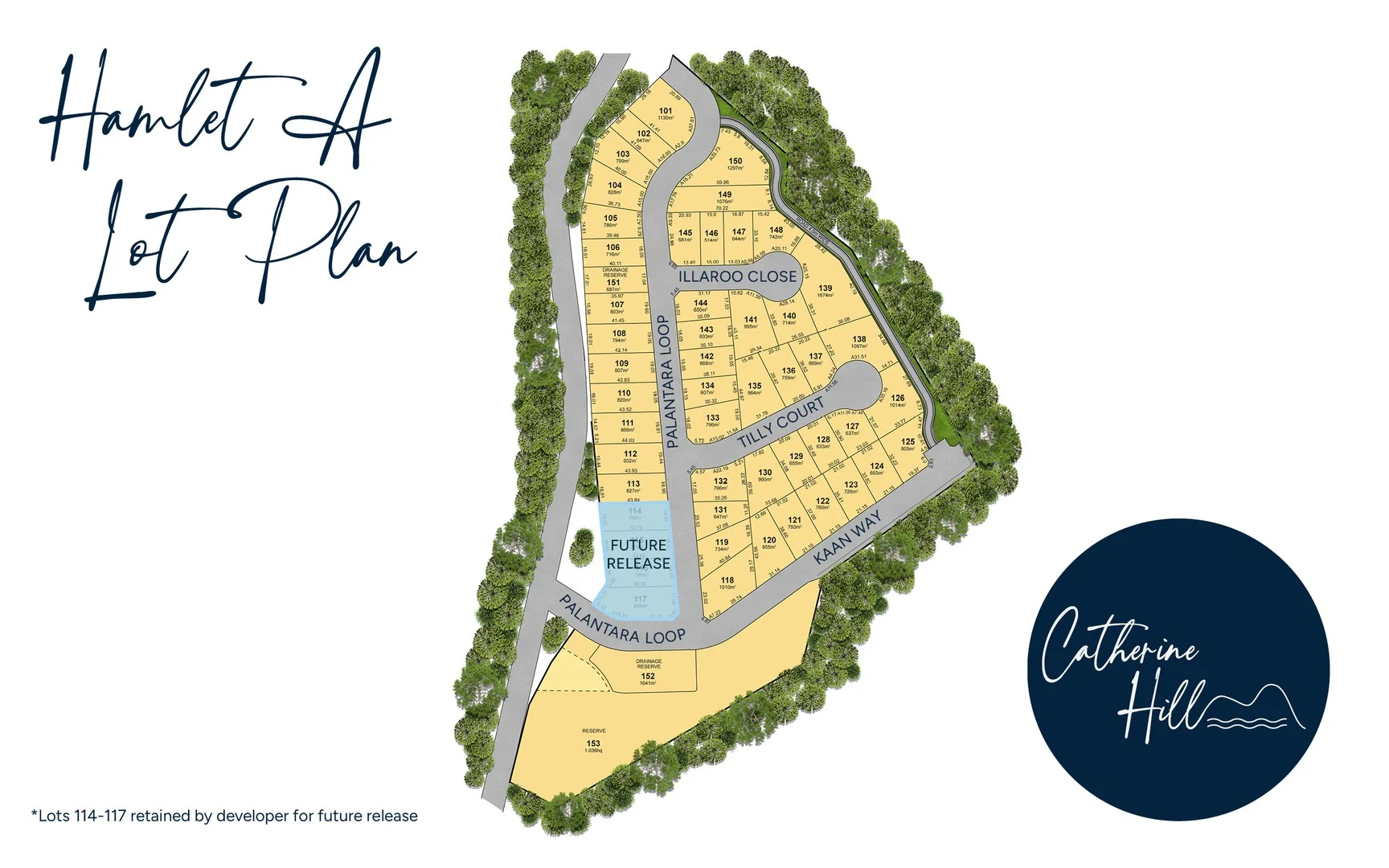 Flowers Drive, Catherine Hill Bay NSW 2281