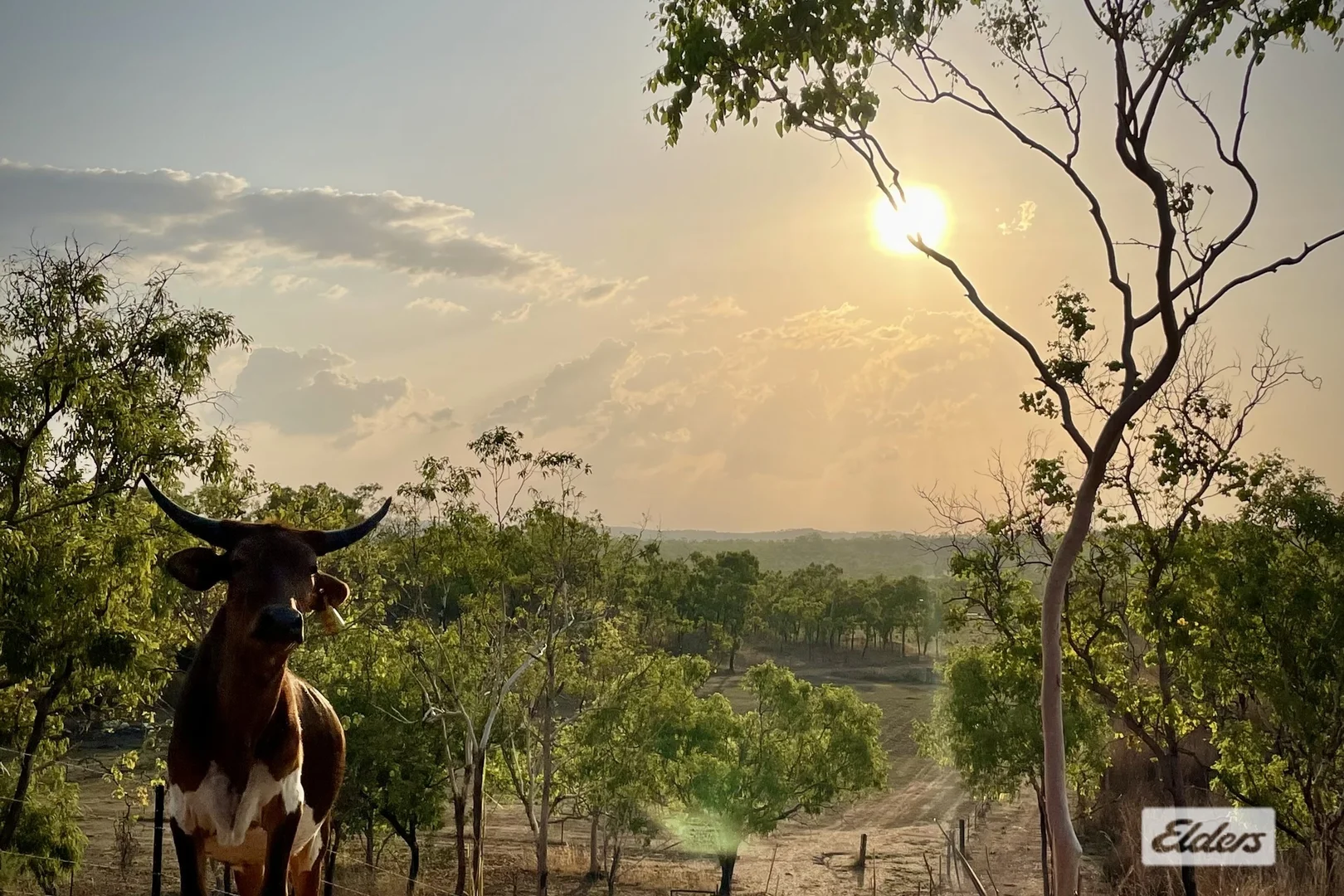 Additional image 3 of 7783 Stuart Highway, Adelaide River NT 0846