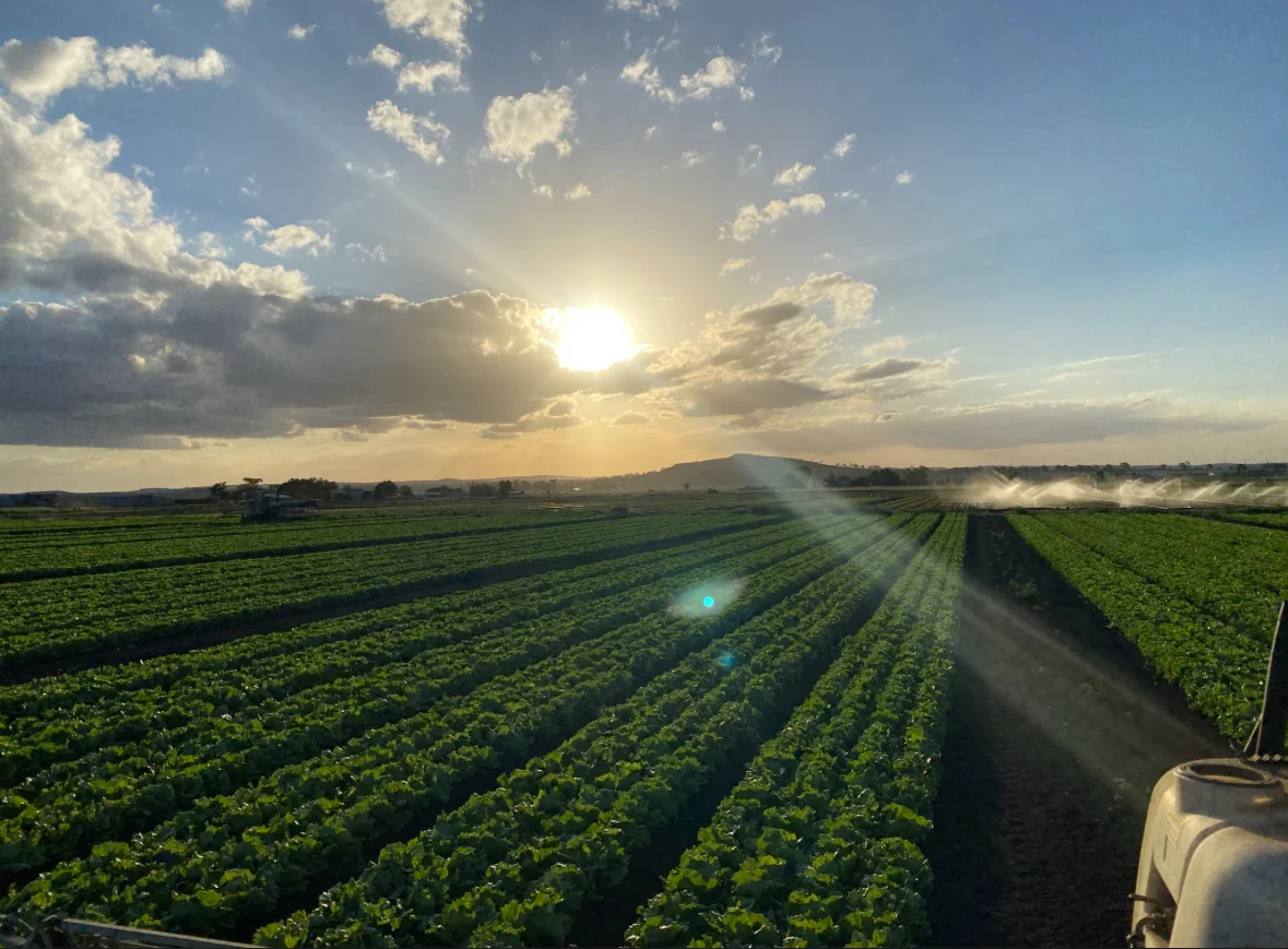 Additional image 17 of "Westview" 189 Toowoomba-Karara Road, Finnie QLD 4350