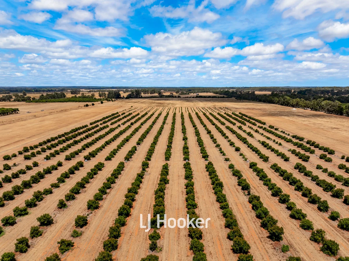 Additional image 3 of 73 Payne Road, Kaloorup WA 6280