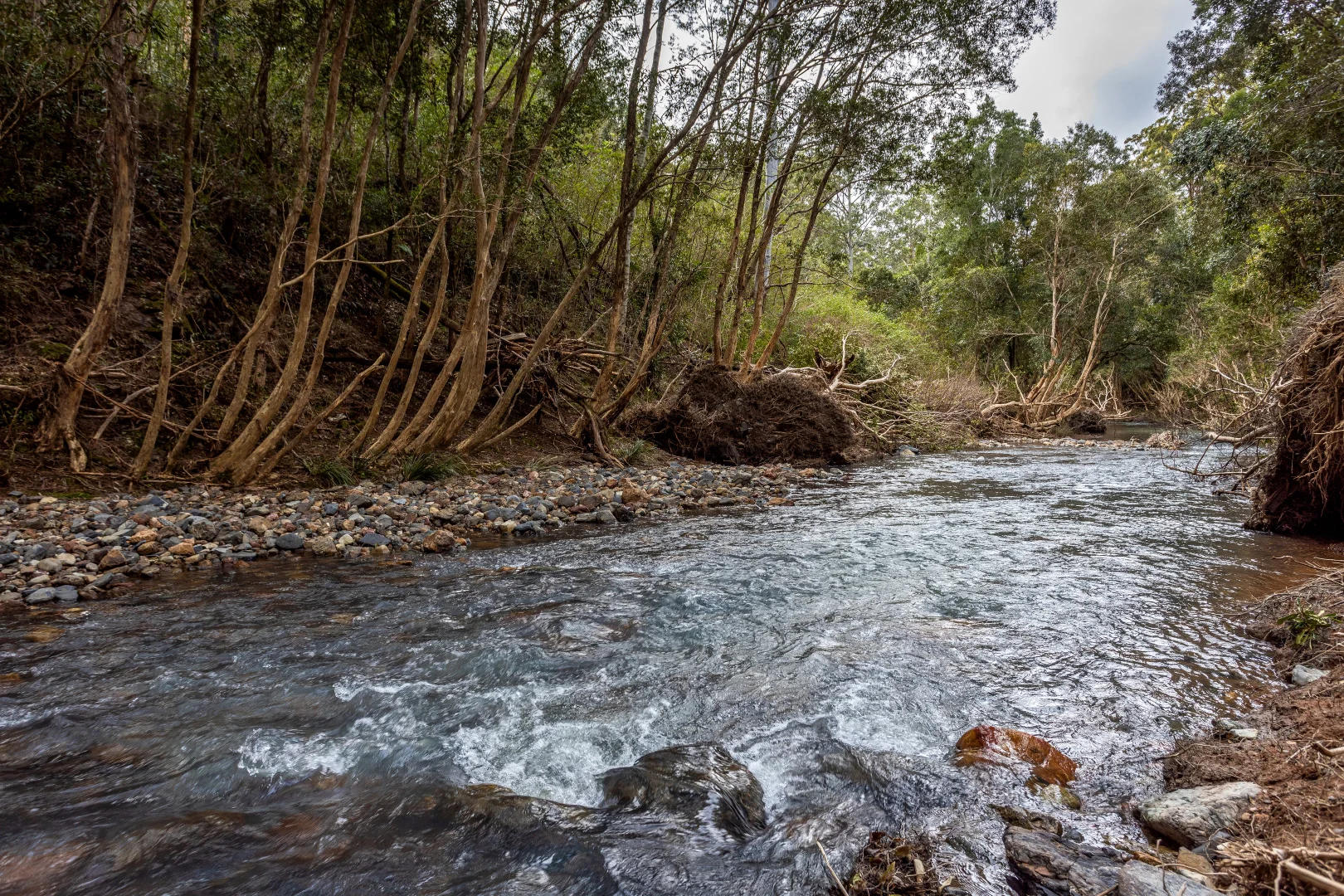 Additional image 10 of 791 Little Run Road, Wherrol Flat NSW 2429