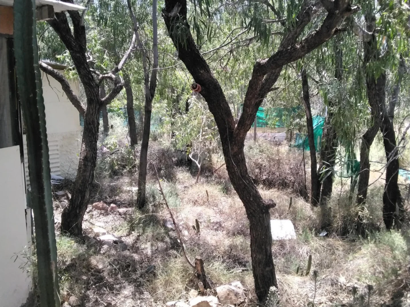 Additional image 3 of Lot 73 Mining Route, Lightning Ridge NSW 2834