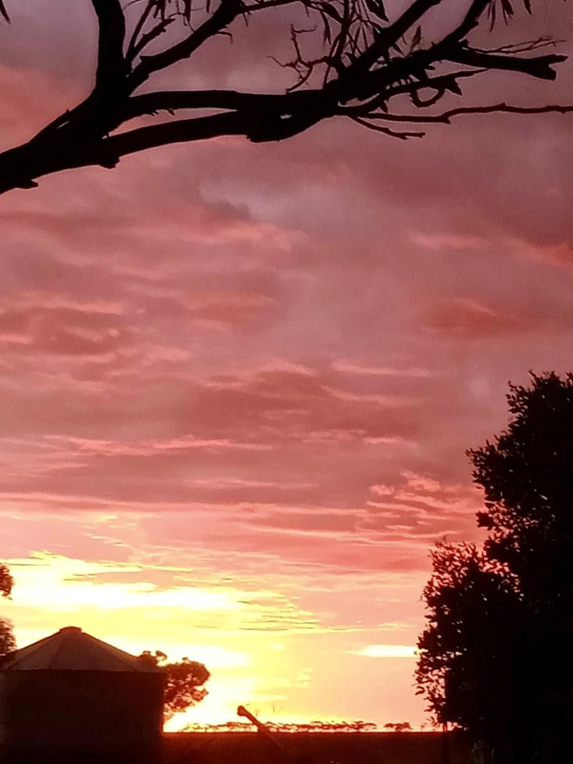 Additional image 43 of 1266 OTC Road, Wandana SA 5690