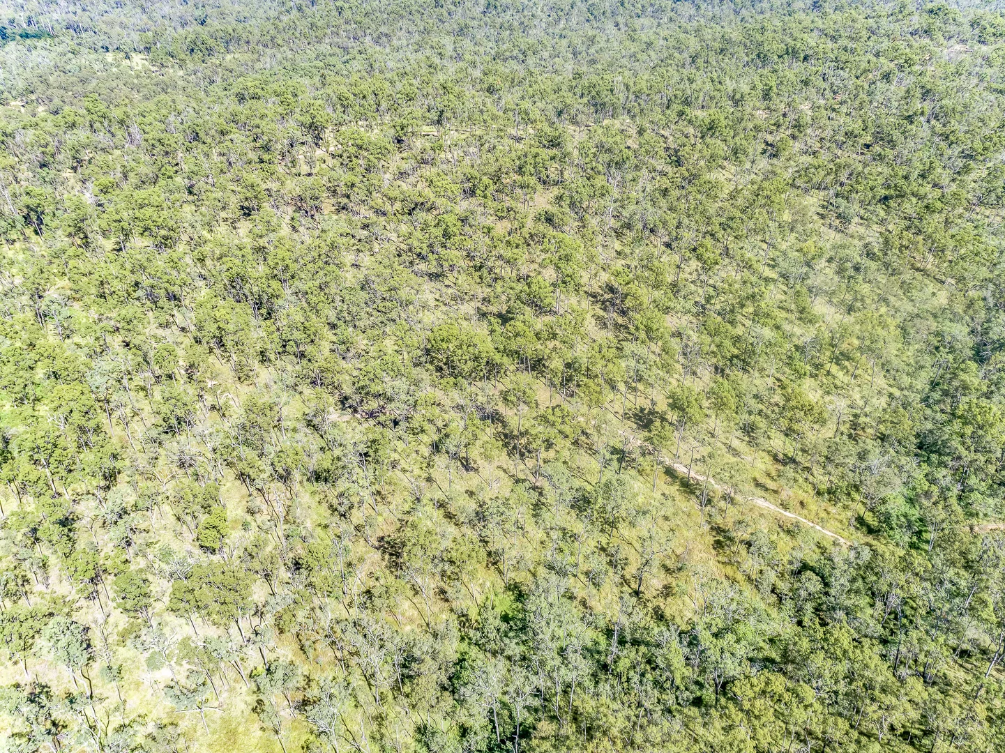 Additional image 16 of 151 Findlay Road, Duingal QLD 4671