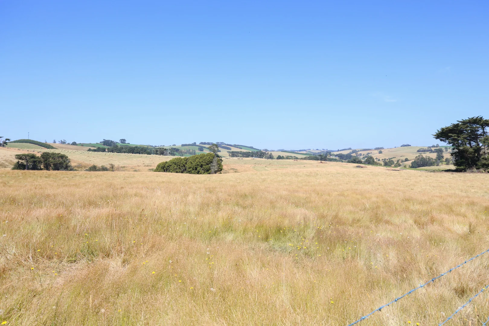 Additional image 22 of Lot 2/107 Cooks Road, Thorpdale VIC 3835