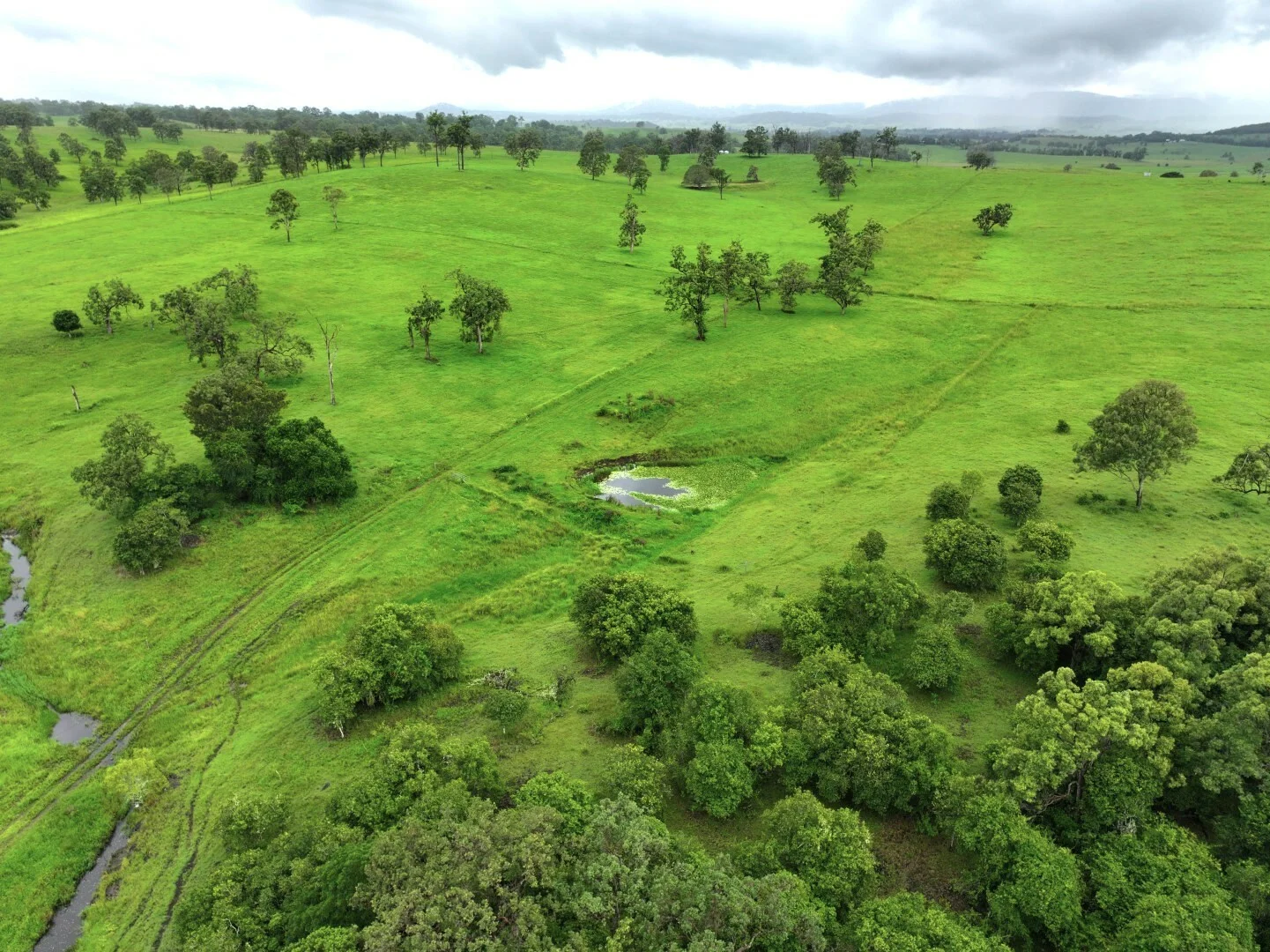 Additional image 16 of 284 Upper Stratheden Road, Kyogle NSW 2474