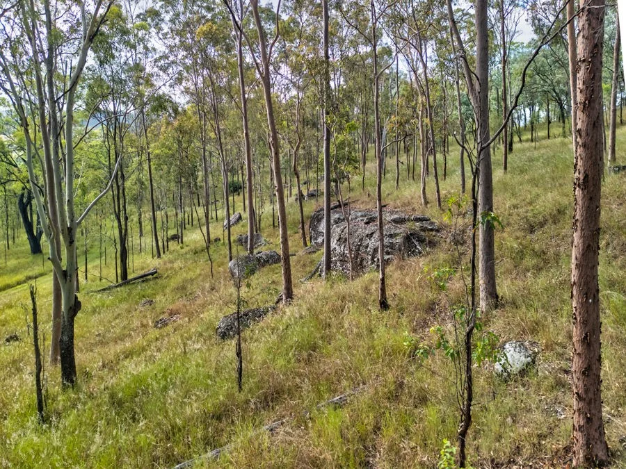 Additional image 22 of Lot 244 Huntley Road, Biarra QLD 4313