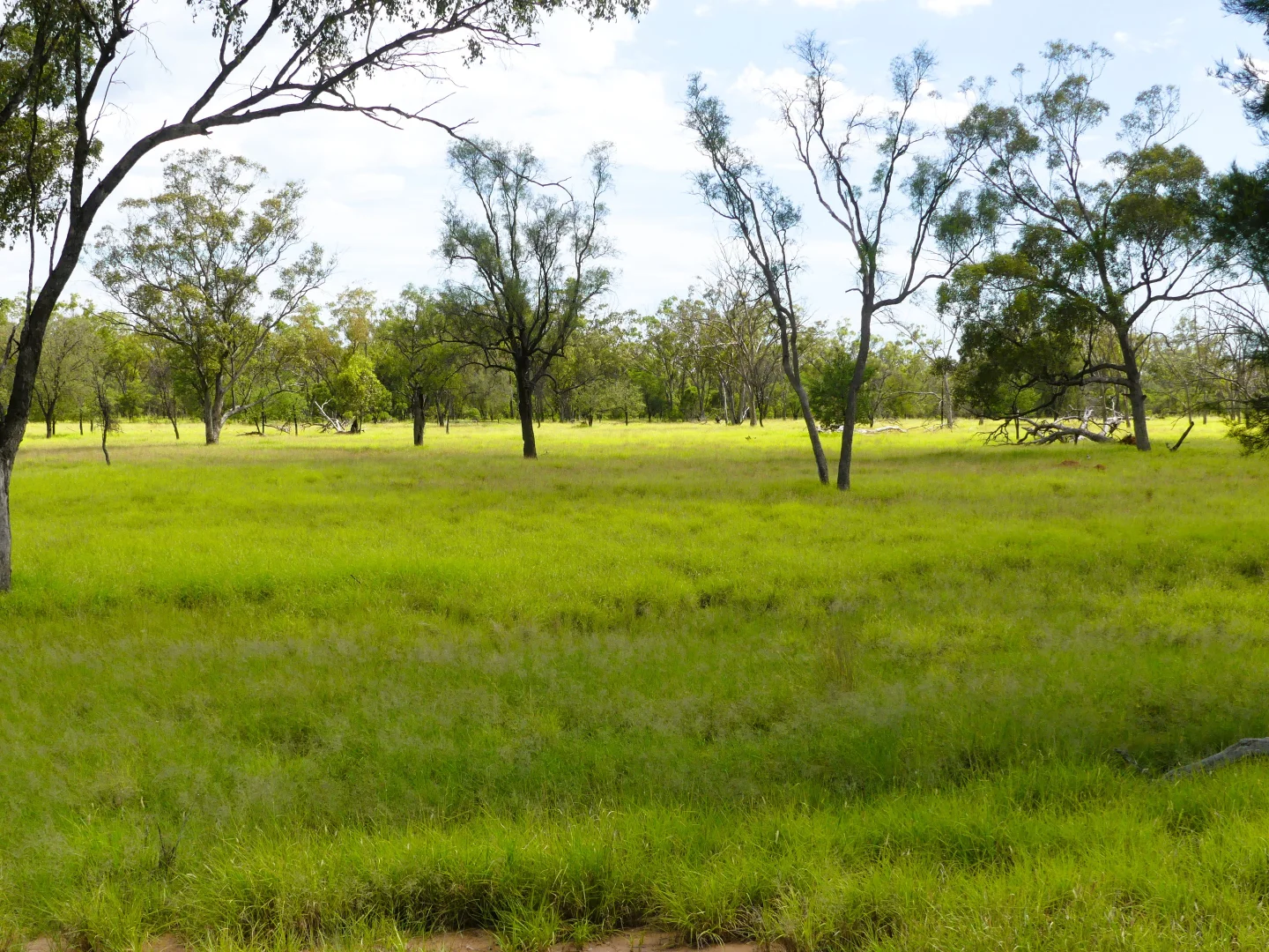 Additional image 7 of 'Gundi' 19181 Carnarvon Highway Highway, Surat QLD 4417