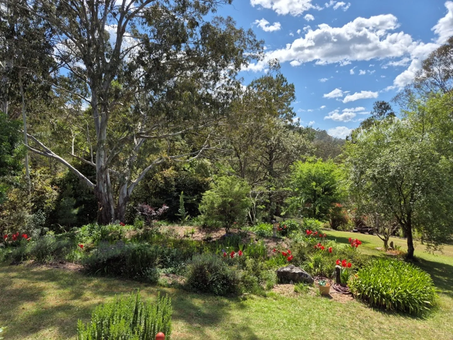 Additional image 25 of Dorrigo NSW 2453