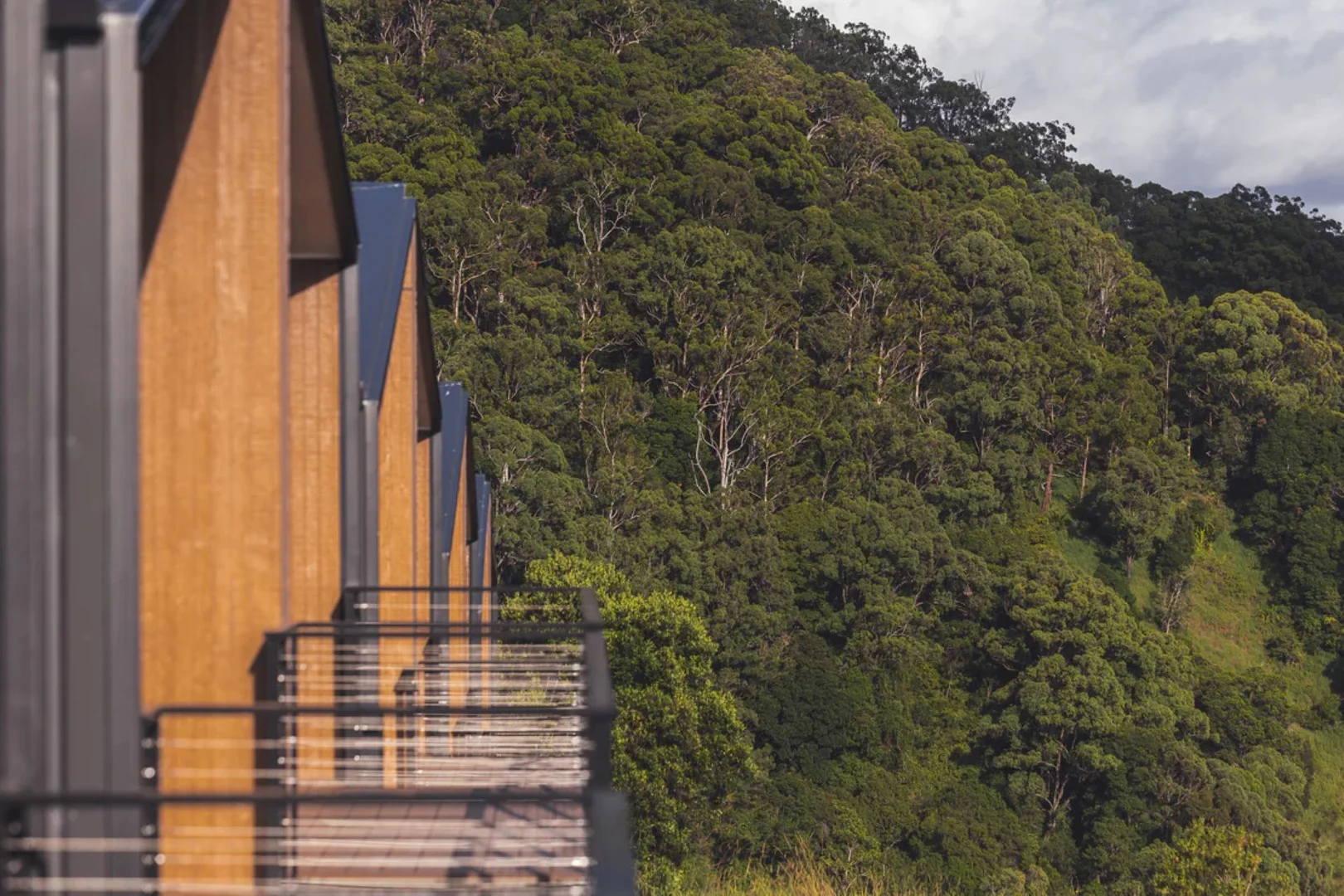 Additional image 18 of 660 Trees Road, Tallebudgera Valley QLD 4228