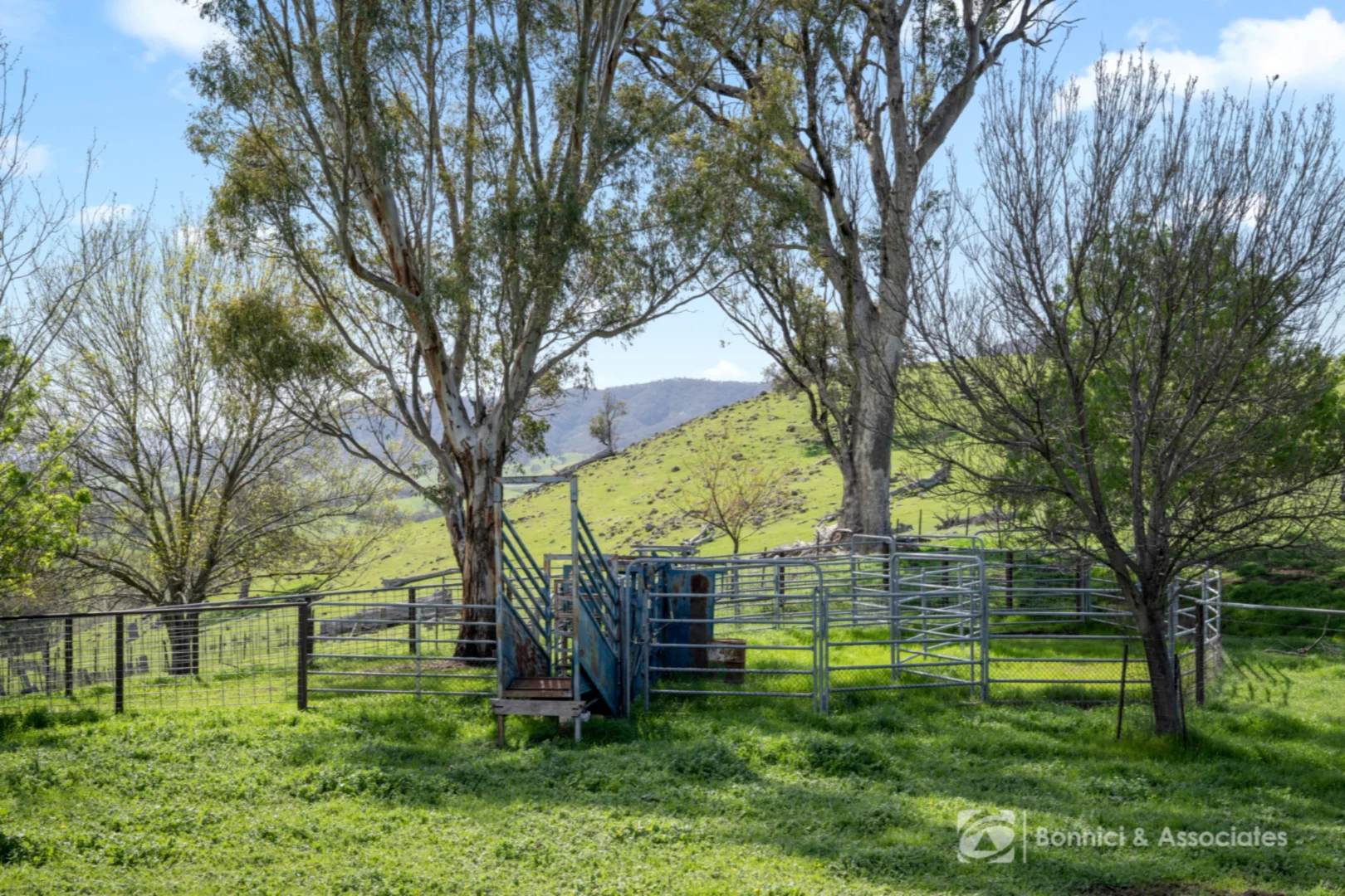 Additional image 15 of BARTLETTS Springdale Road, Bethanga VIC 3691