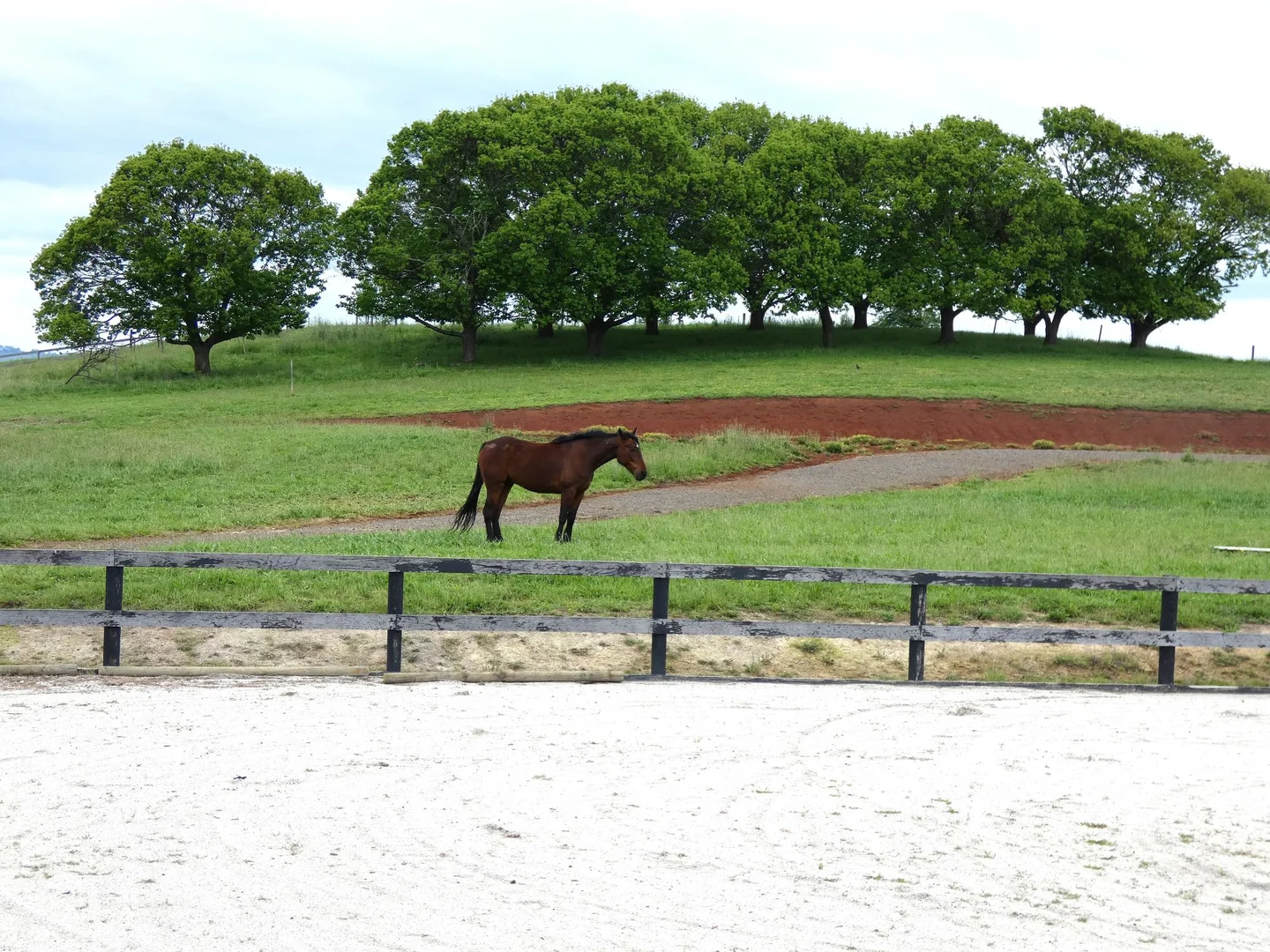 Additional image 4 of 125 Sheepstation Creek Road, Yellingbo VIC 3139