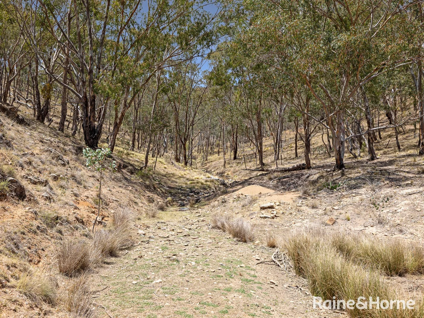Additional image 9 of 3015 Turondale Road, Turondale NSW 2795
