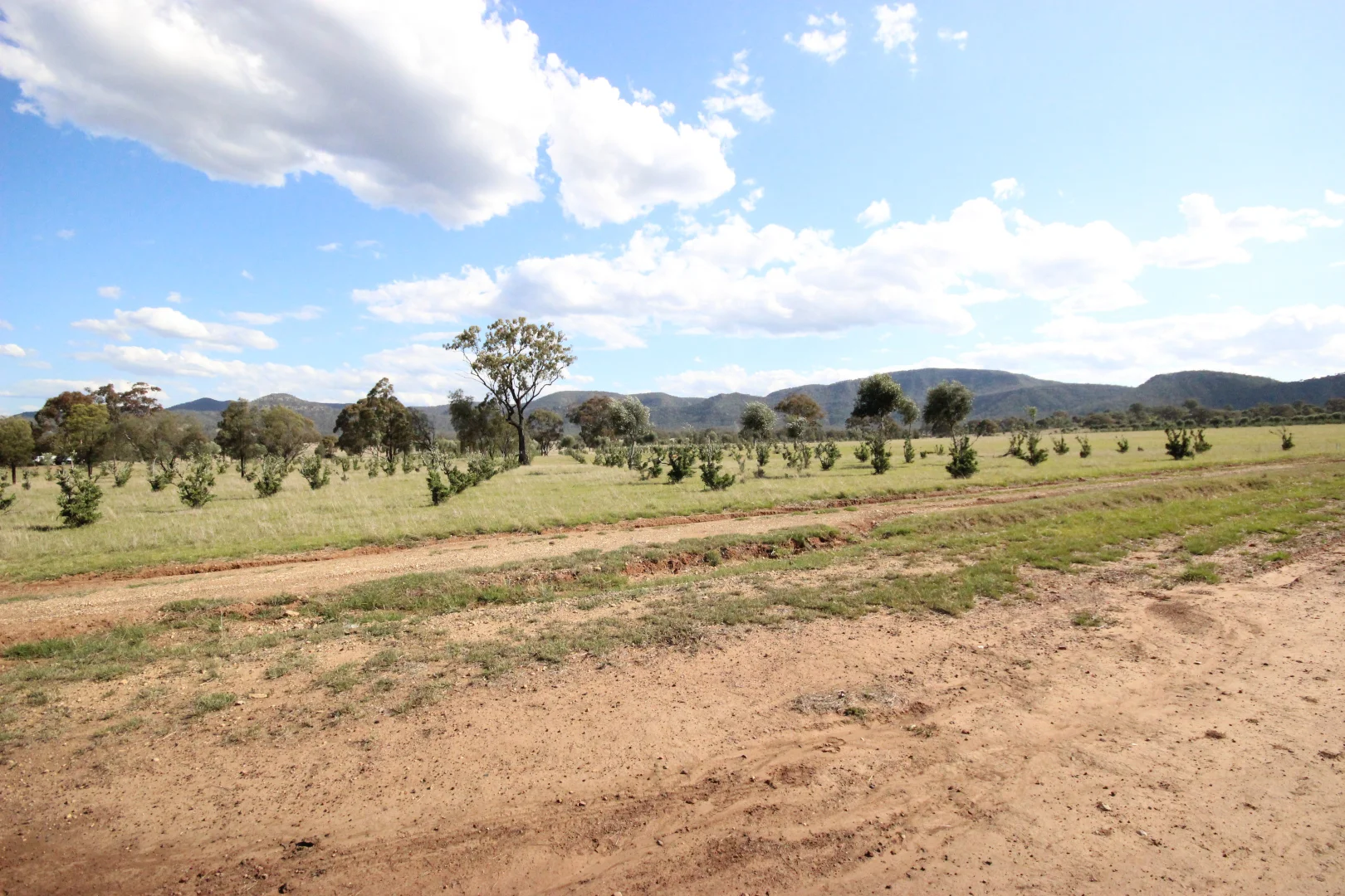 Additional image 34 of 207 Redmanvale Road, Jerrys Plains NSW 2330