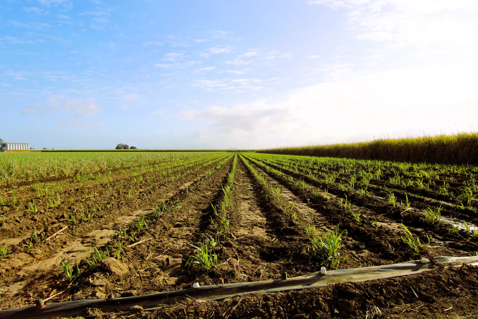 Additional image 21 of 20 Colevale Road, Brandon QLD 4808