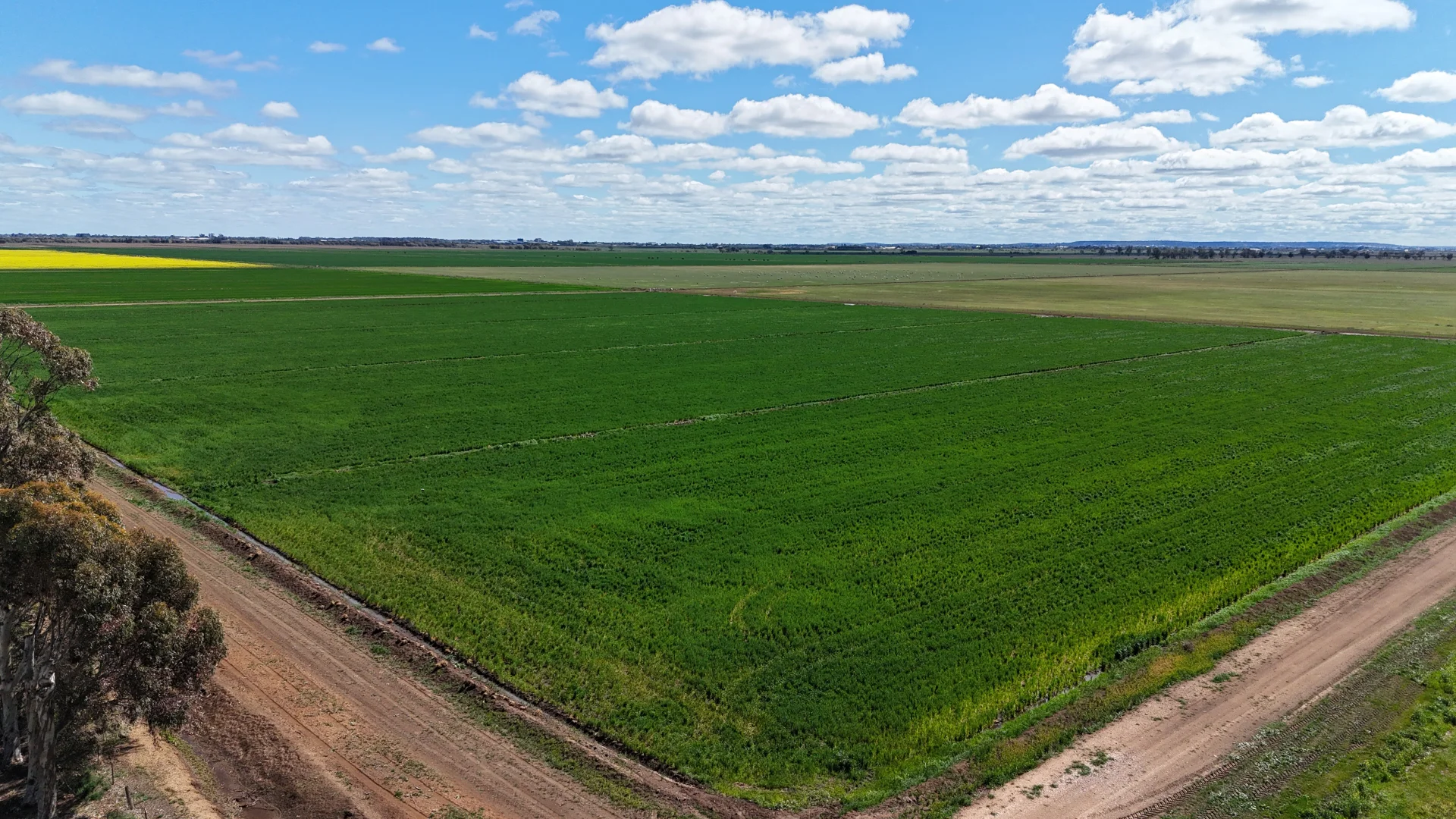 Additional image 2 of Farm 2526/408 Cashmere Road, Widgelli NSW 2680