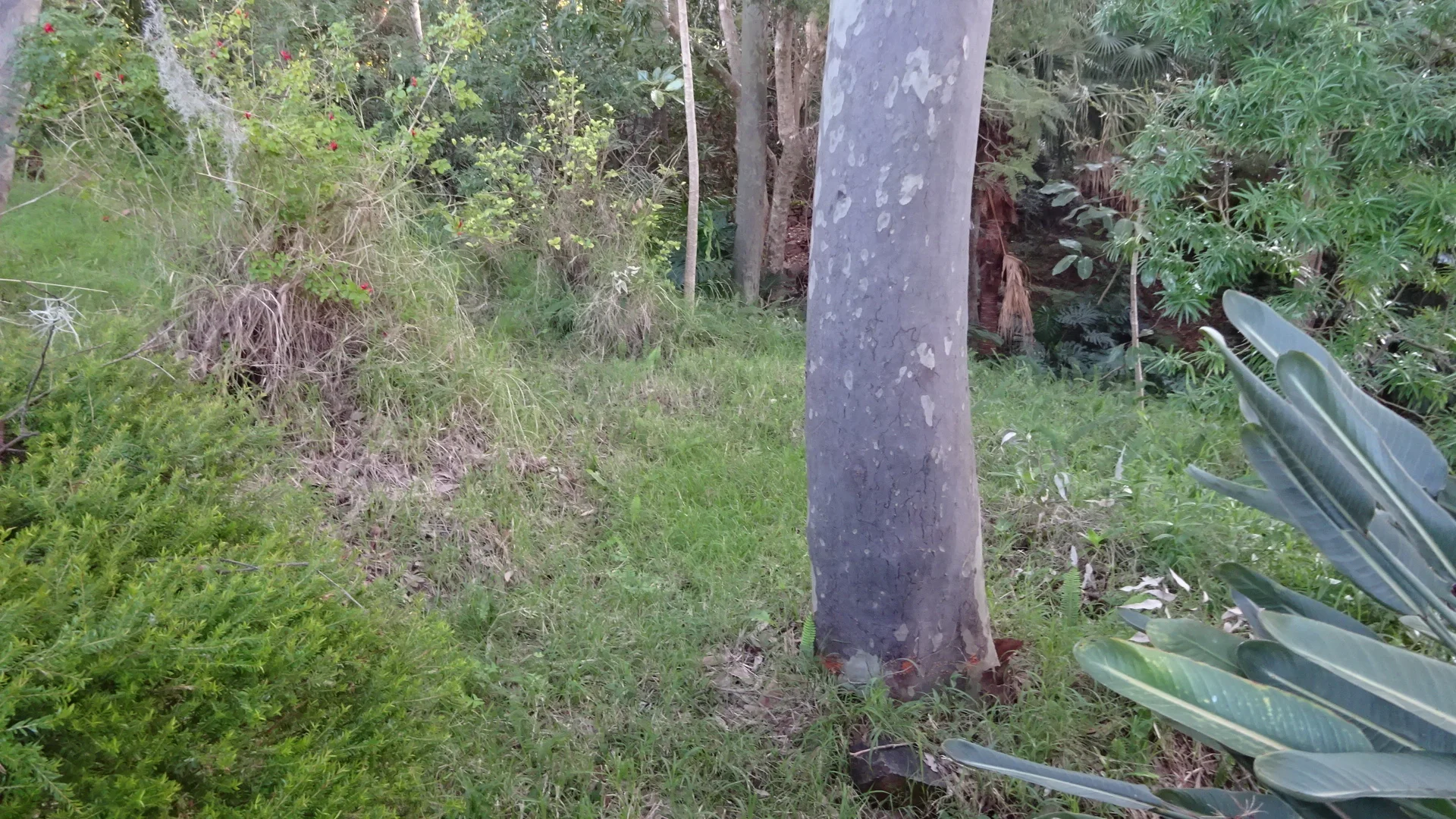 Additional image 11 of 7 Amelia Street, Carey Bay NSW 2283