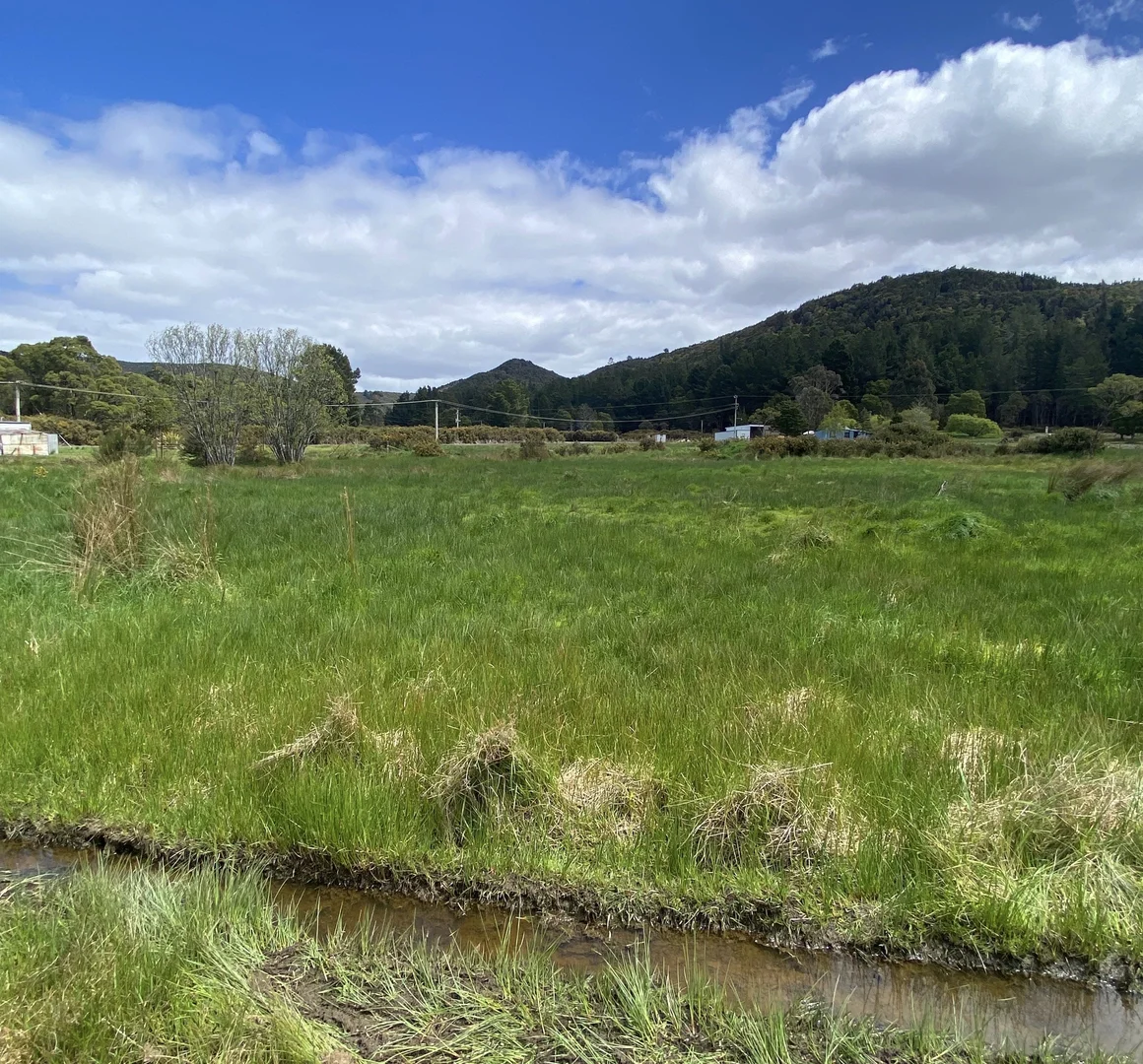 Additional image 5 of 1 Stops Street, Zeehan TAS 7469