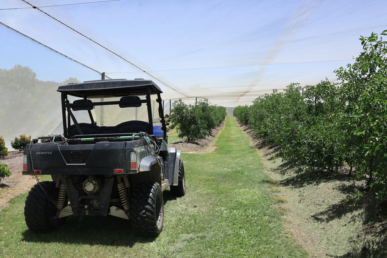 Additional image 6 of 42 Noakes Road, Traveston QLD 4570