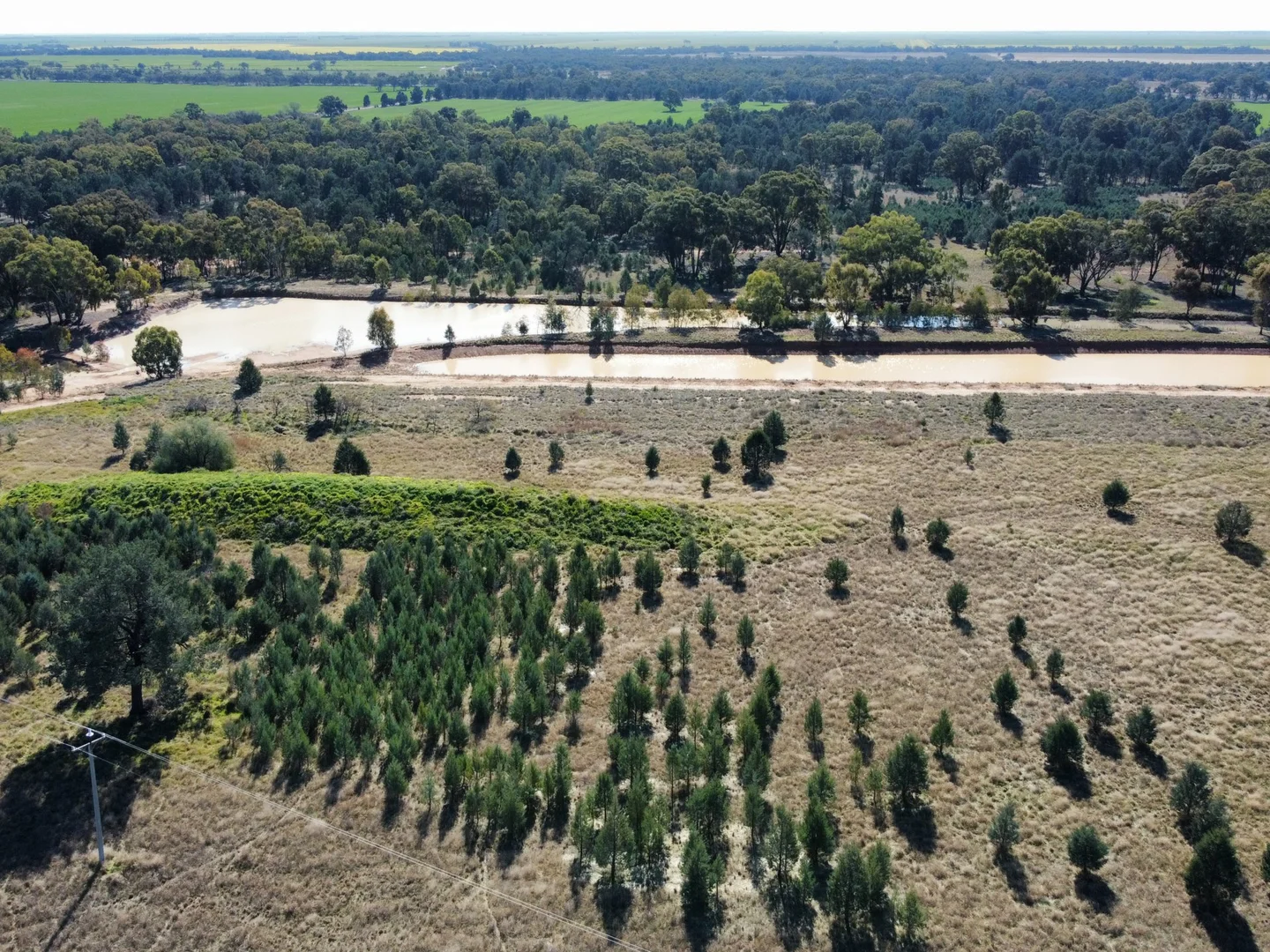 Additional image 6 of 91 Coorabbin Road, Oaklands NSW 2646