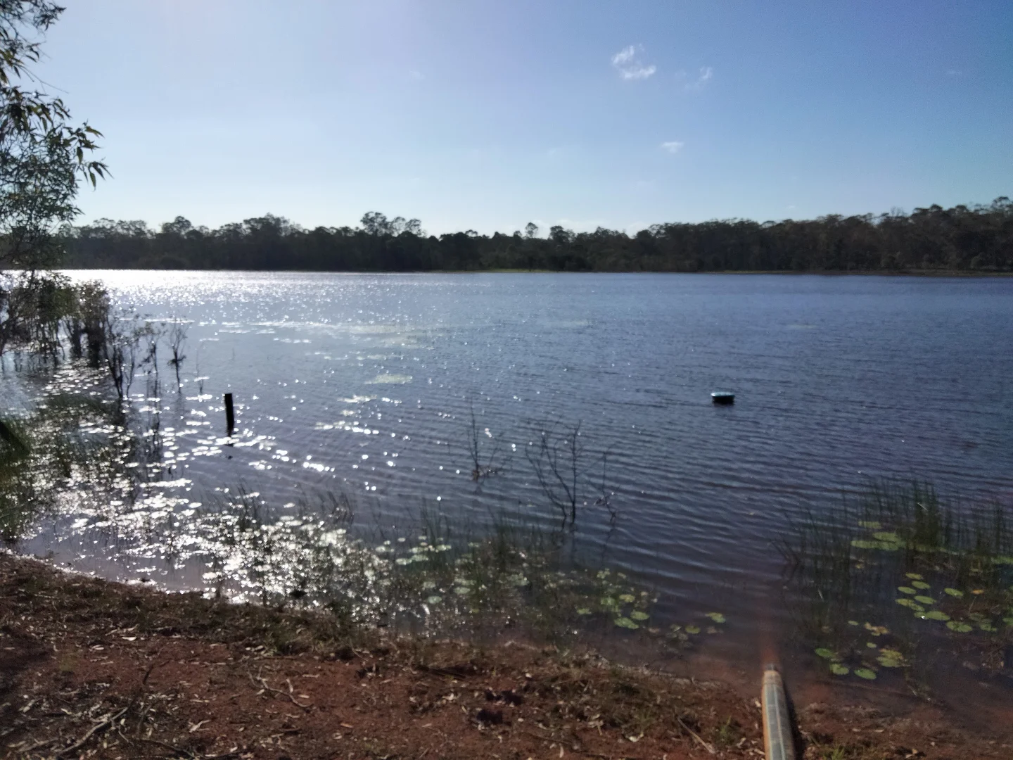 Additional image 51 of 2913 Rosedale Road, Yandaran QLD 4673