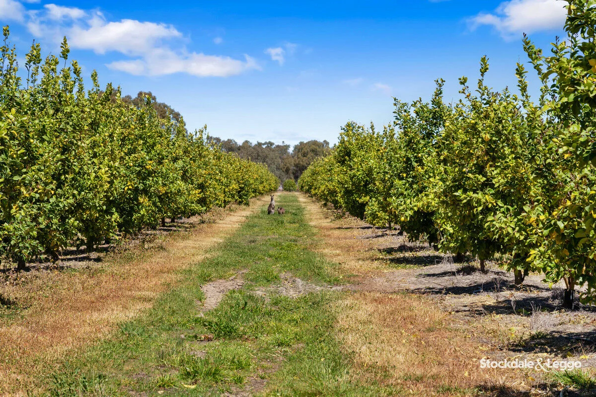 Additional image 34 of 154-198 Torgannah Road, Koonoomoo VIC 3644