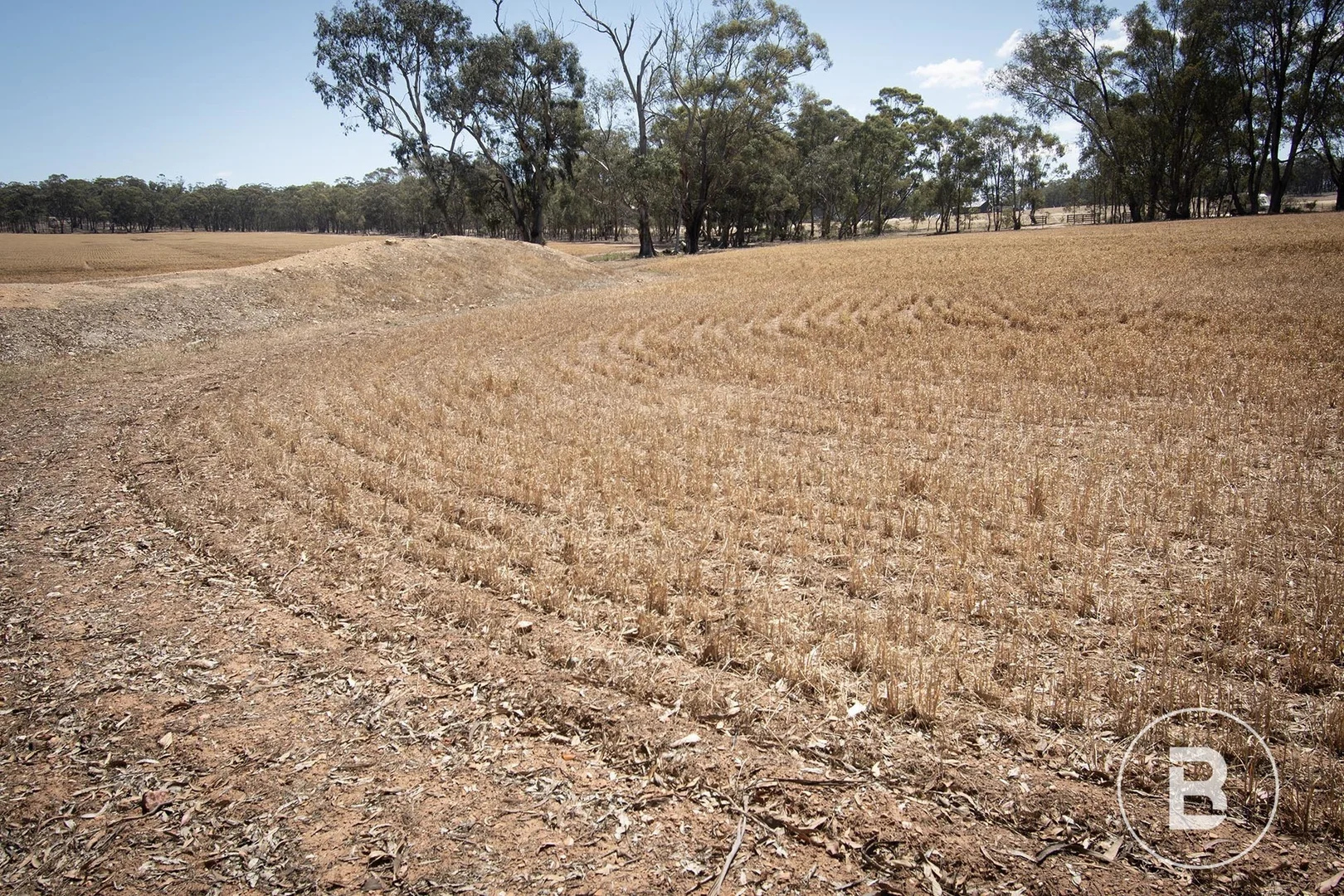 Additional image 9 of 52 Tunstalls Road, Bealiba VIC 3475