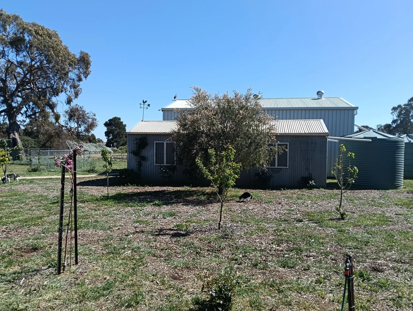 Additional image 7 of 27 Alfred Street, Hallett SA 5419