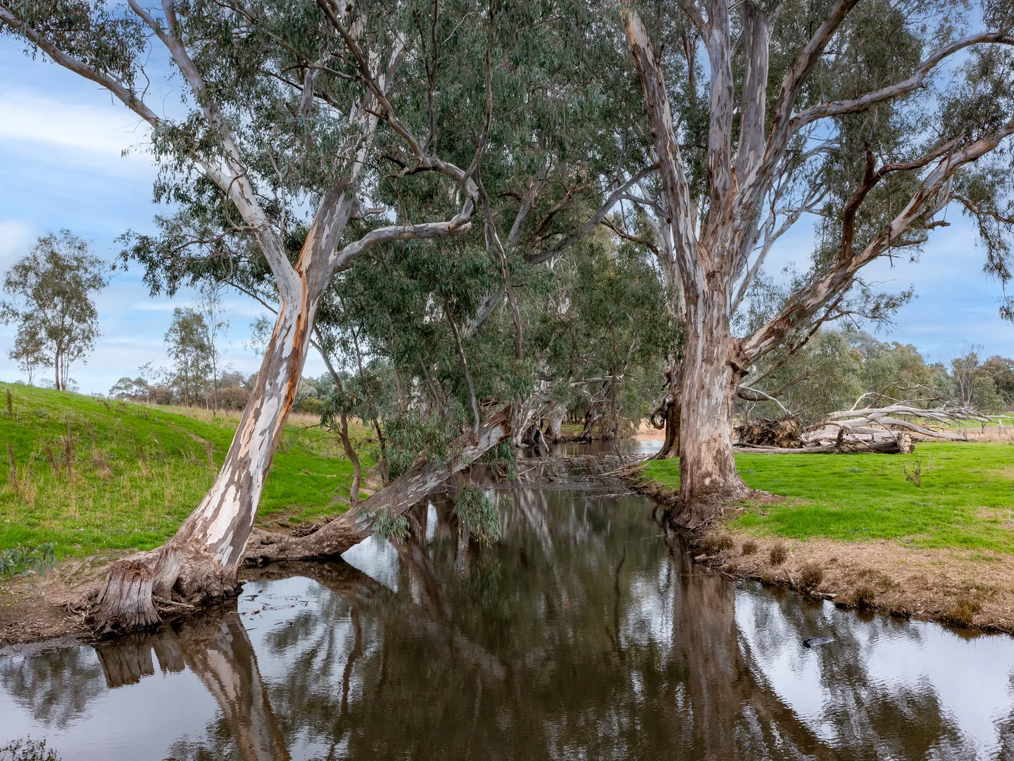 Additional image 33 of 2269 Snow Road, Markwood VIC 3678