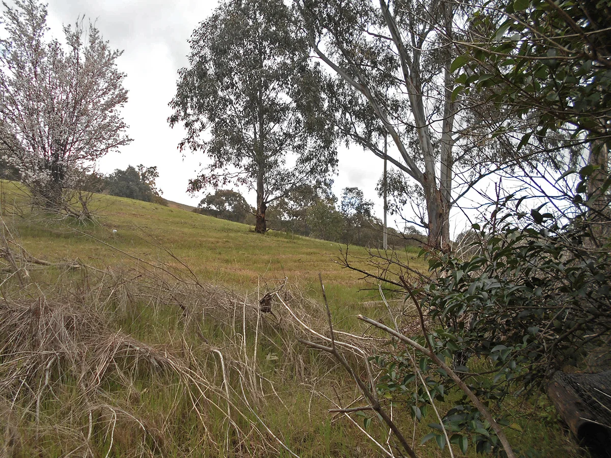 Additional image 28 of 33 Francis Ave, Gundagai NSW 2722