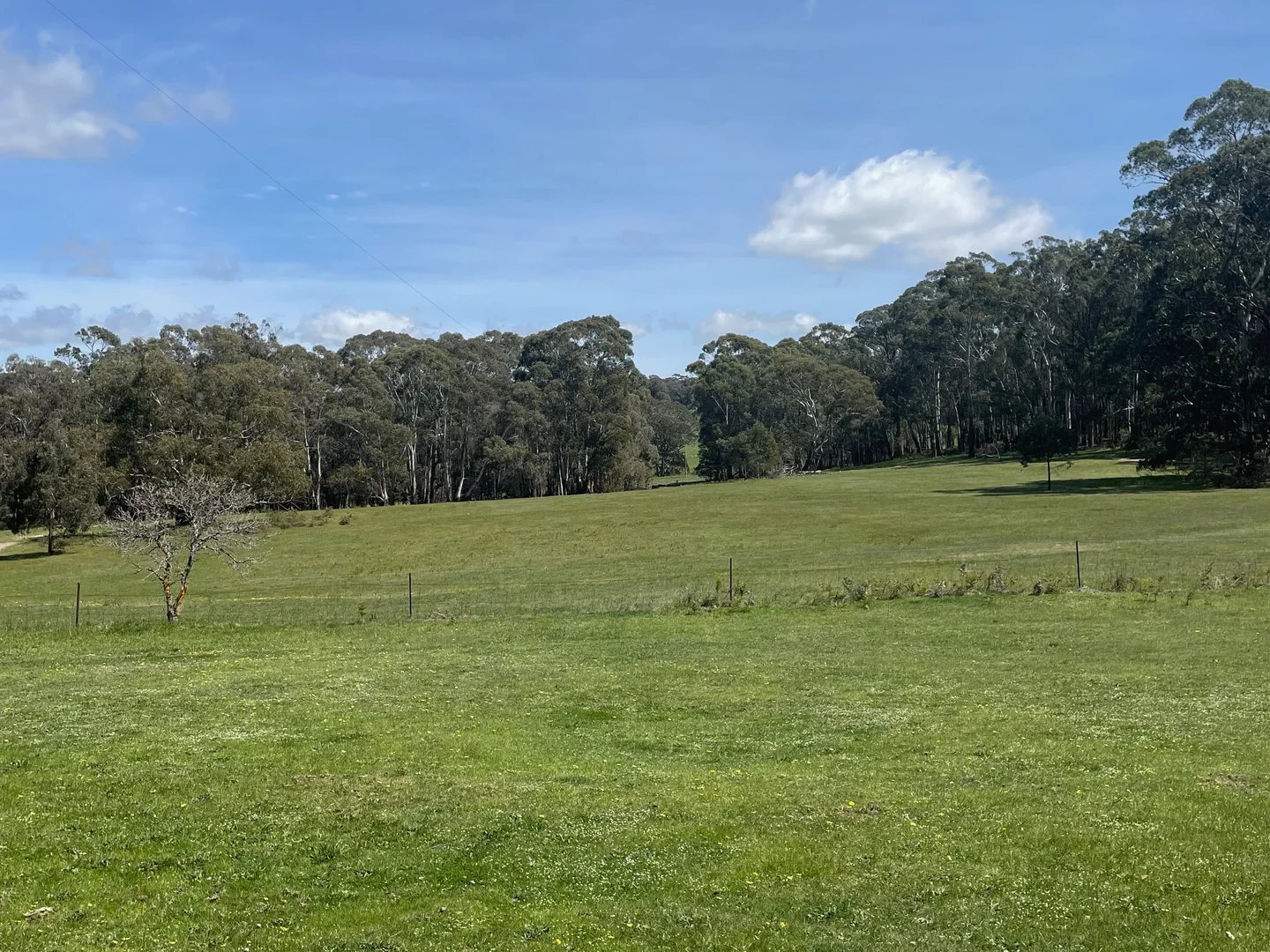 Additional image 5 of Strathbogie VIC 3666