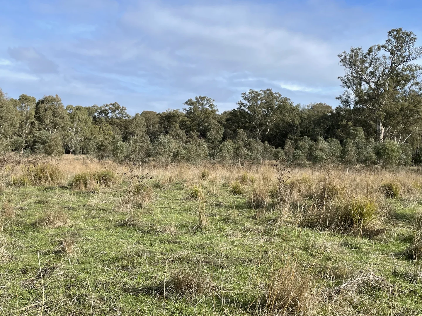 Additional image 7 of Dartmoor-Hamilton Road, Dartmoor VIC 3304