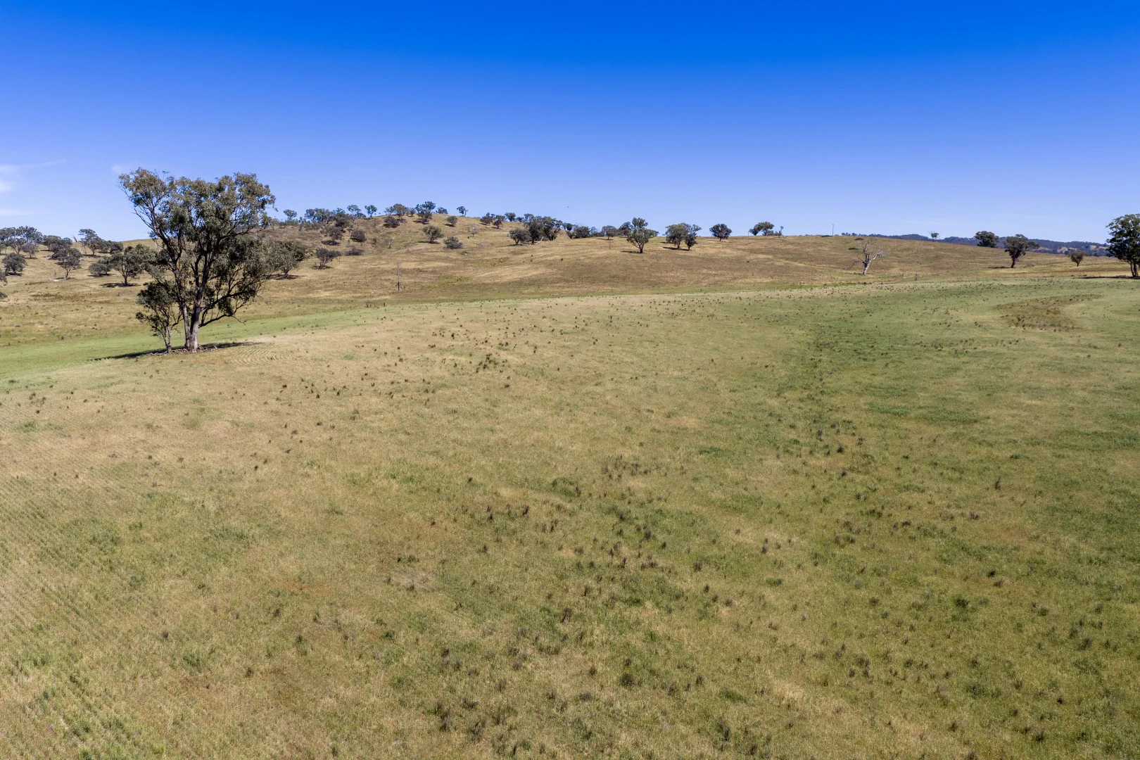 Additional image 17 of 499 Mebul Road, Gulgong NSW 2852
