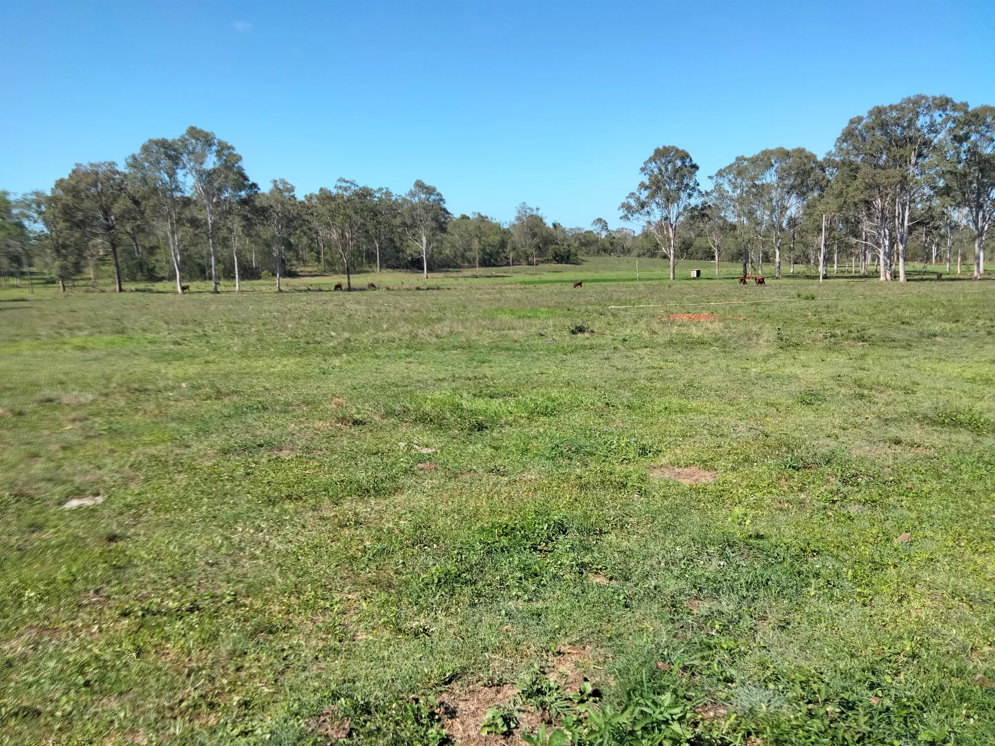 Additional image 14 of 2913 Rosedale Road, Yandaran QLD 4673