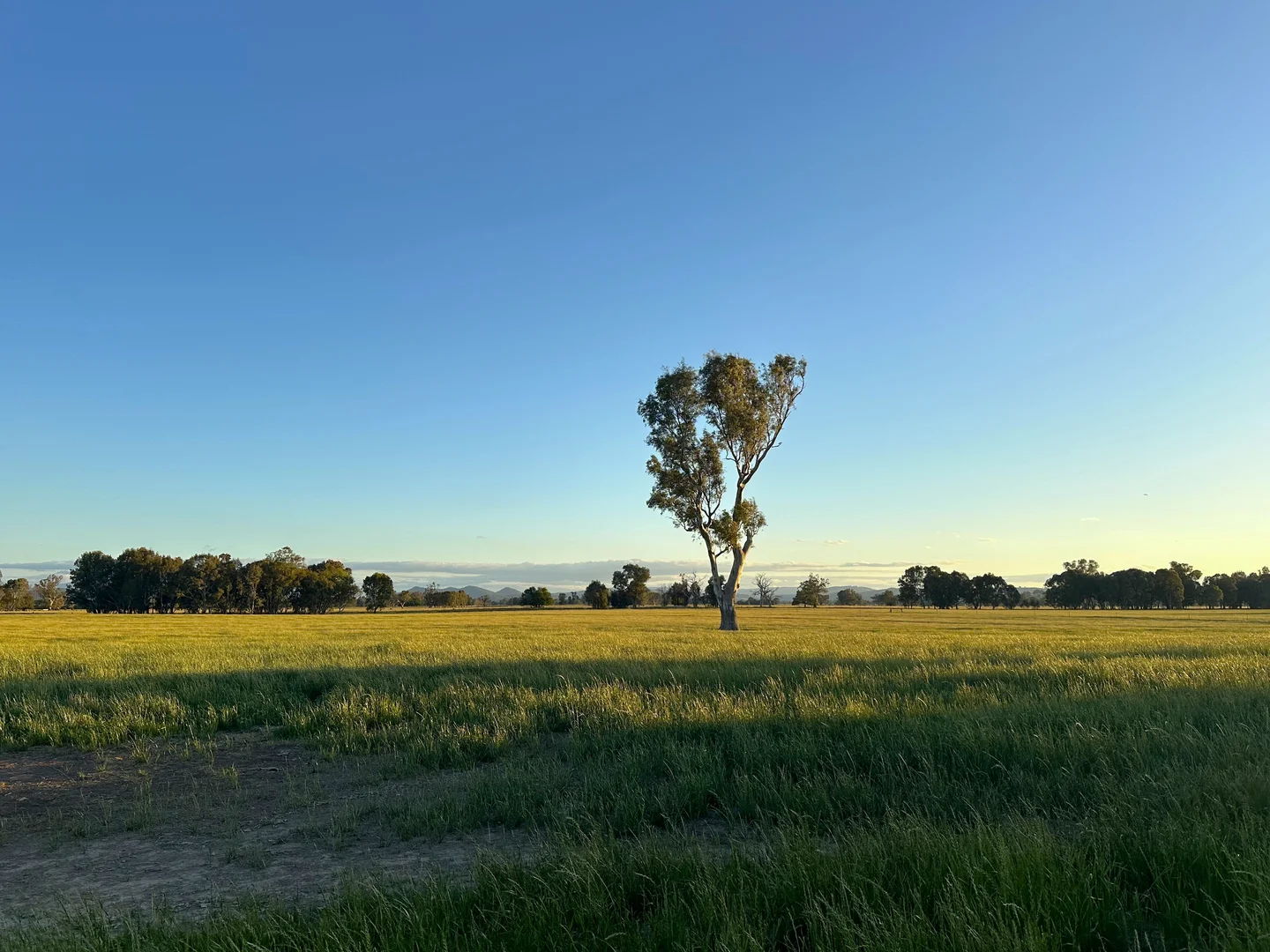 Additional image 7 of 68 Docker-Greta West Road, Docker VIC 3678