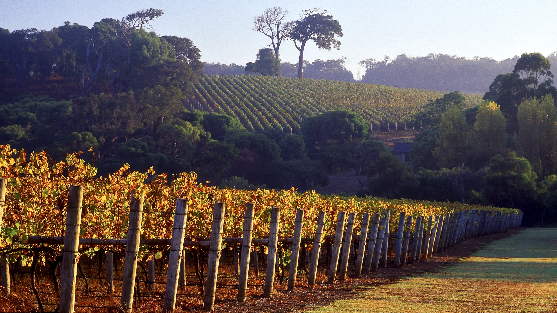 Additional image 11 of 1676 Caves Road, Dunsborough WA 6281