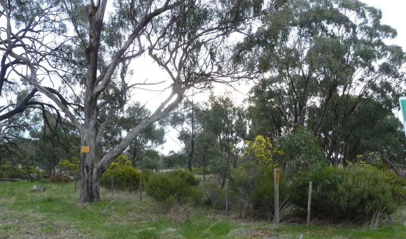Additional image 4 of Lot 50 Wedderburn Junction East-Fiery Flat Road, Wedderburn VIC 3518