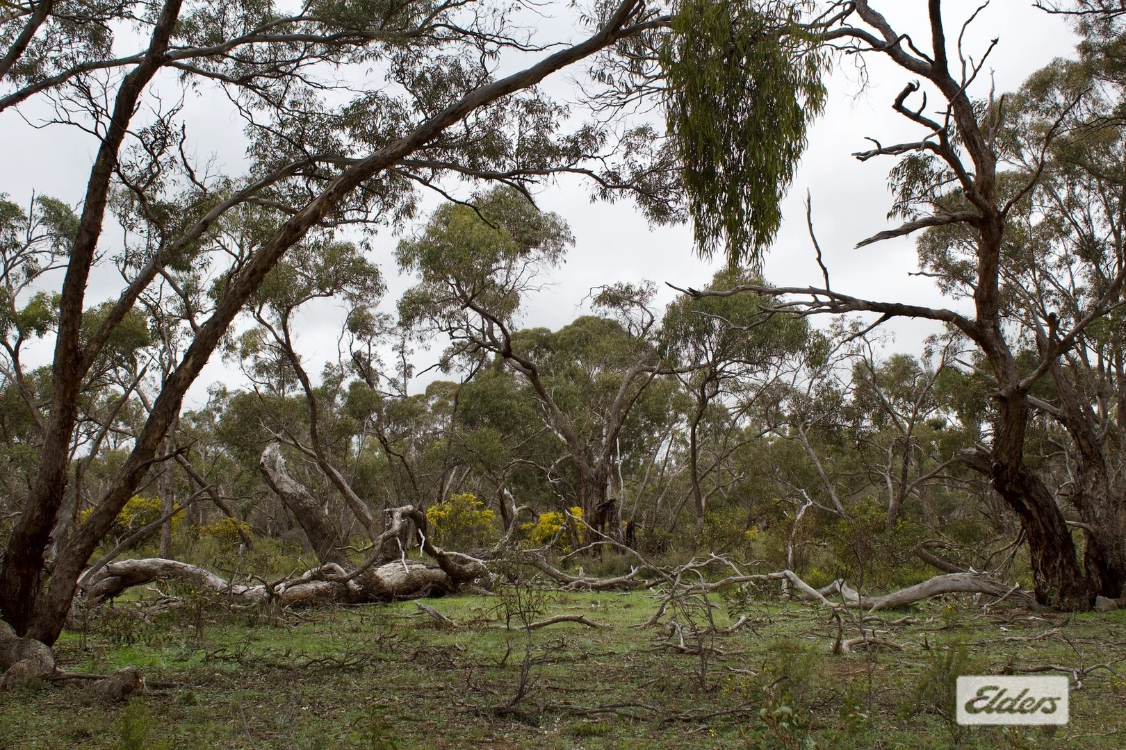 Additional image 26 of 4 Donald-Stawell Road, Stawell VIC 3380