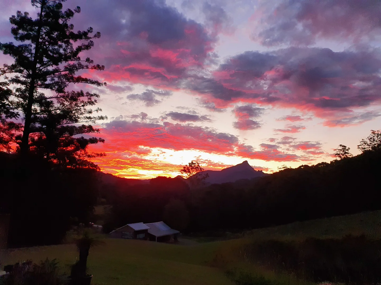 Additional image 30 of 139 Chowan Creek Road, Chowan Creek NSW 2484