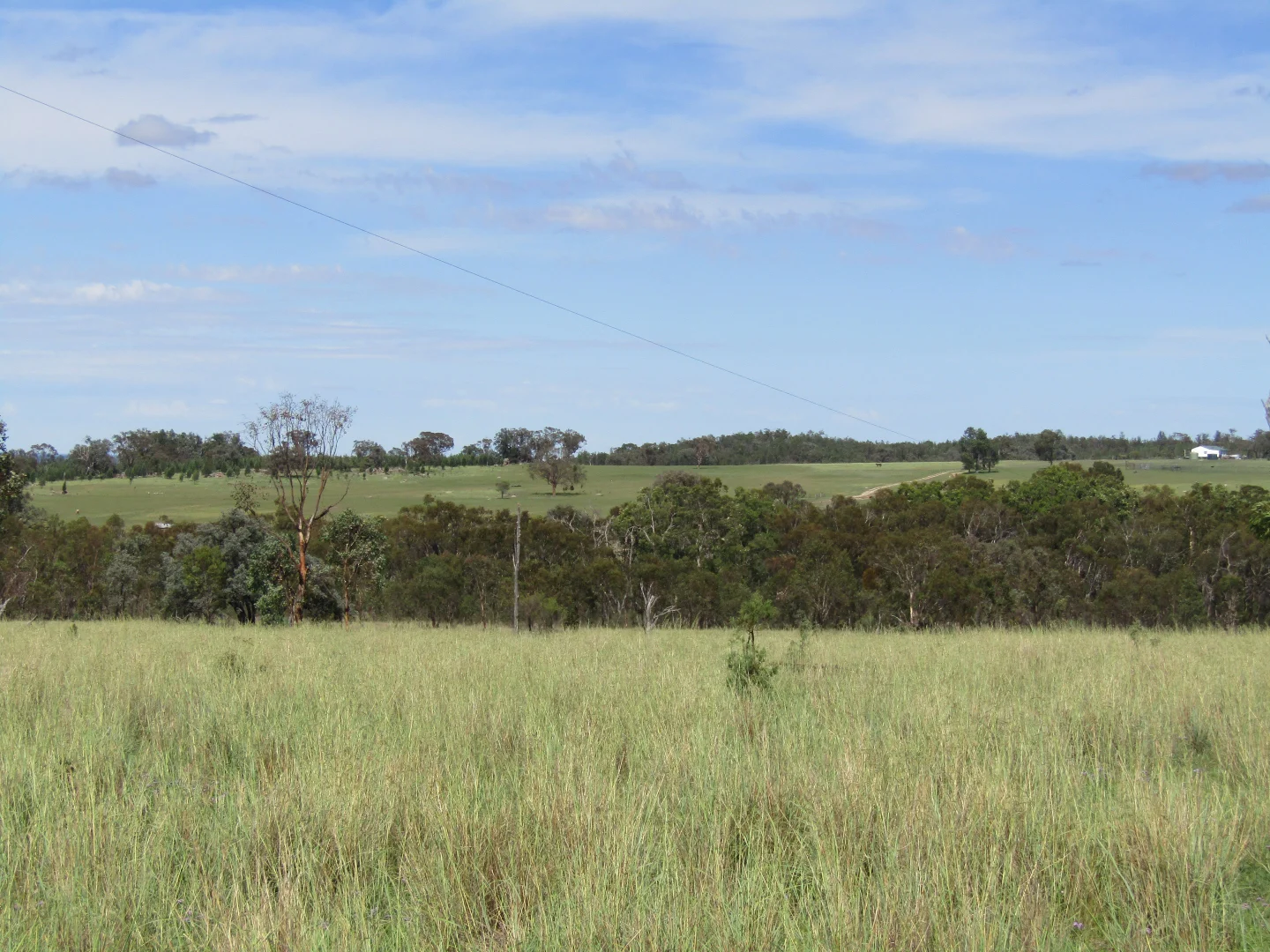 Additional image 9 of 1461 Atholwood Road, Bonshaw NSW 2361