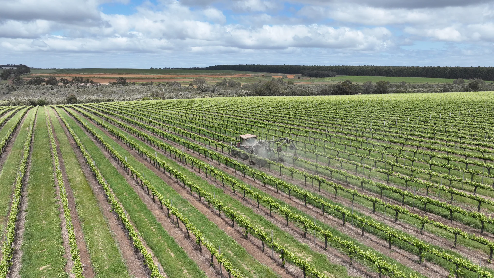 Additional image 12 of Blackwattle and Russell Road, West Cape Howe, Hay Shed Hill and wineries, Frankland River WA 6396