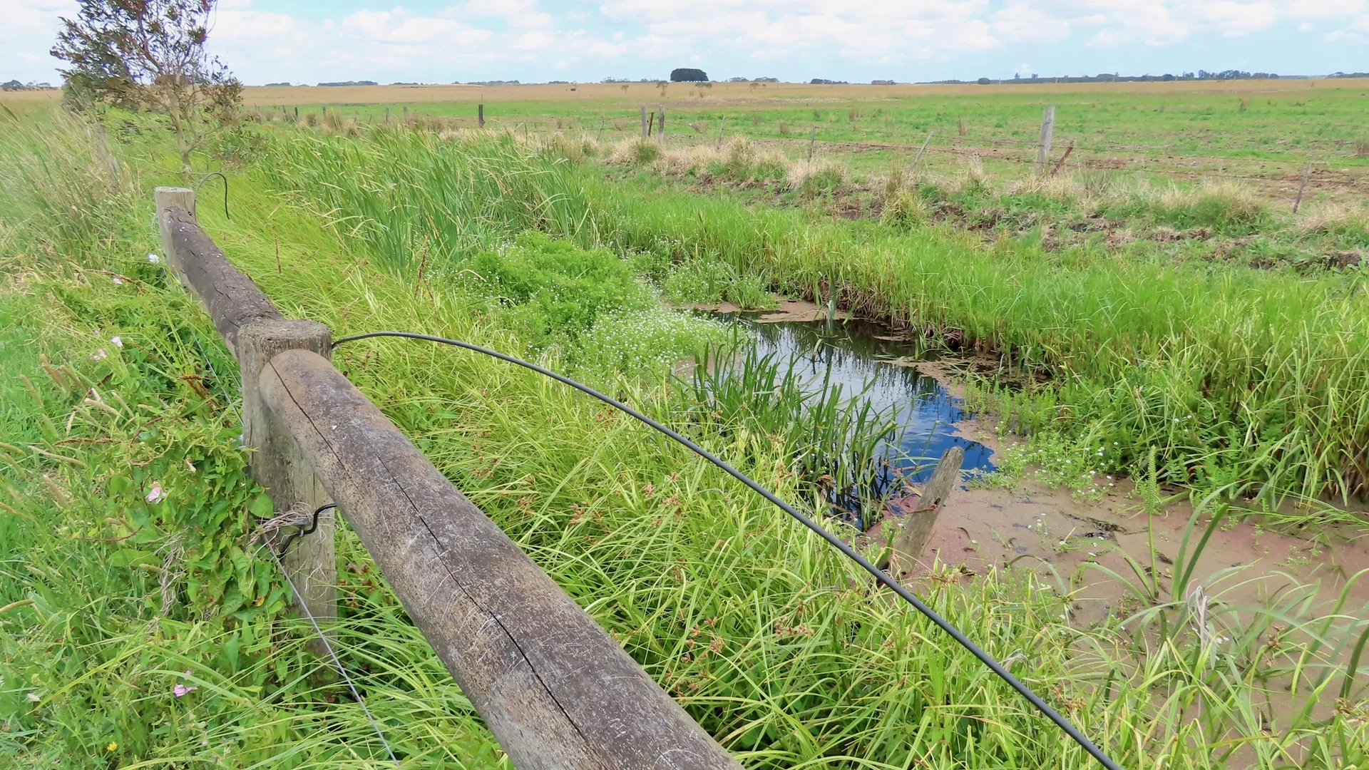 Additional image 20 of Contact Agent, Macarthur VIC 3286