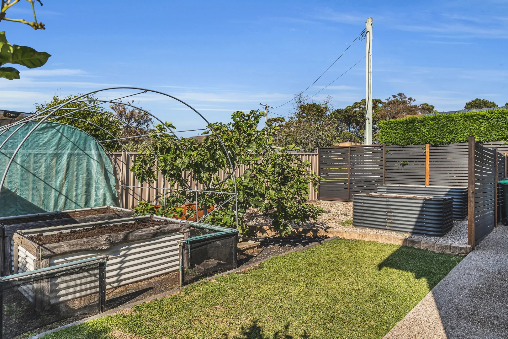 Additional image 21 of 16 Welsh Street, Bermagui NSW 2546