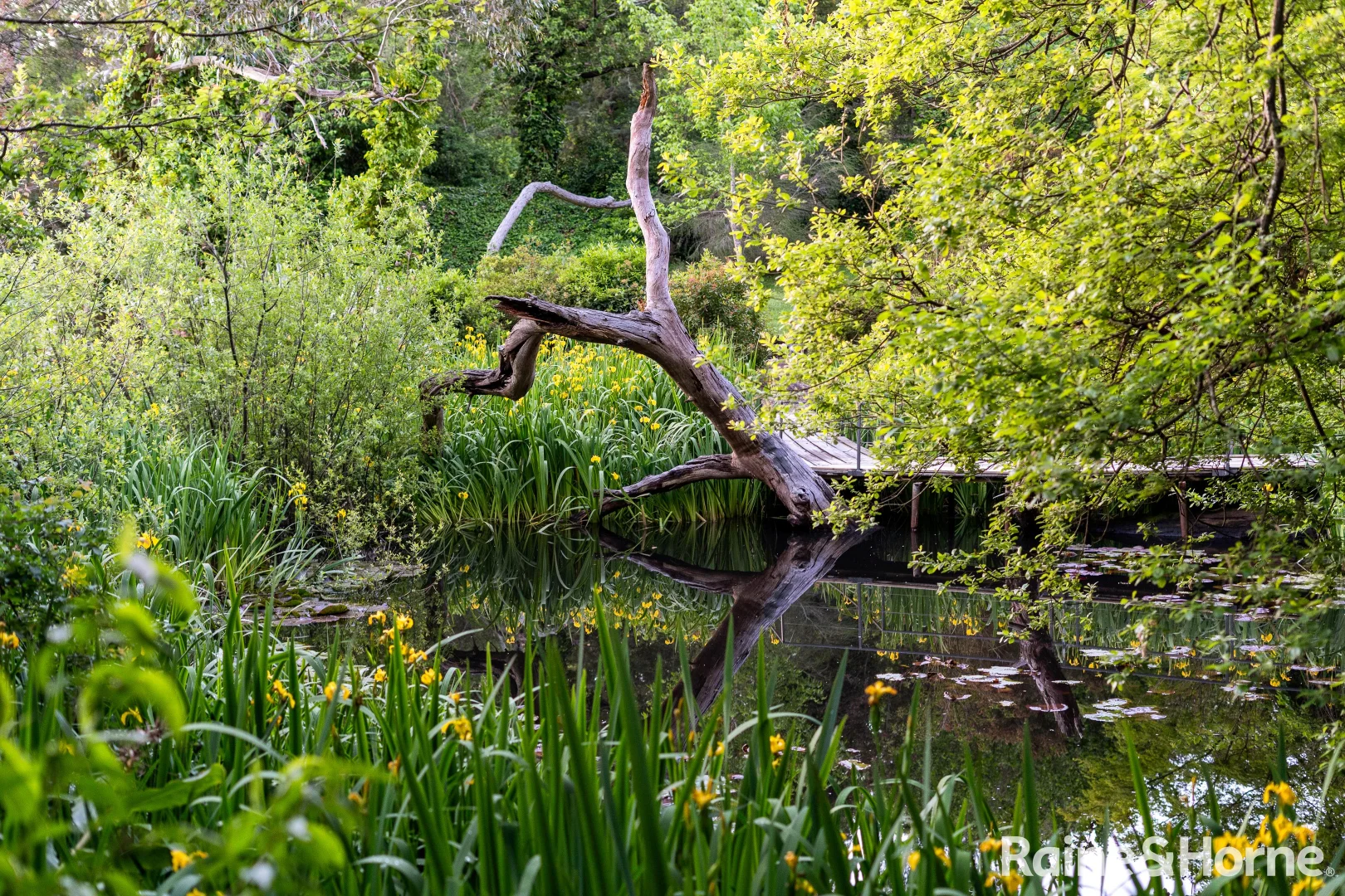 Additional image 33 of 5 Governors Drive, Mount Macedon VIC 3441