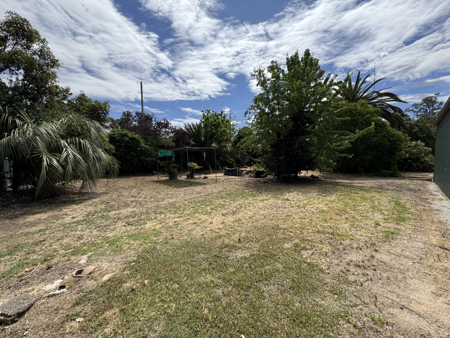 Additional image 5 of 21 Ivor Street, Henty NSW 2658