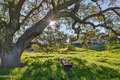 Additional image 23 of 970 College Canyon Rd, Solvang, CA, 93463