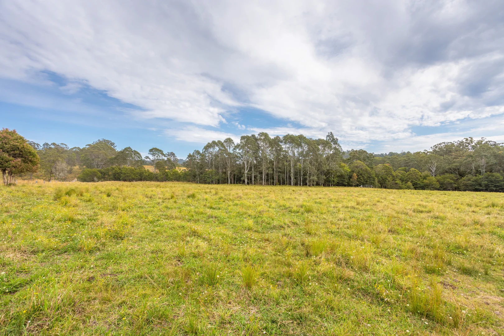 Additional image 4 of 180 Norries Road, Bunyah NSW 2429