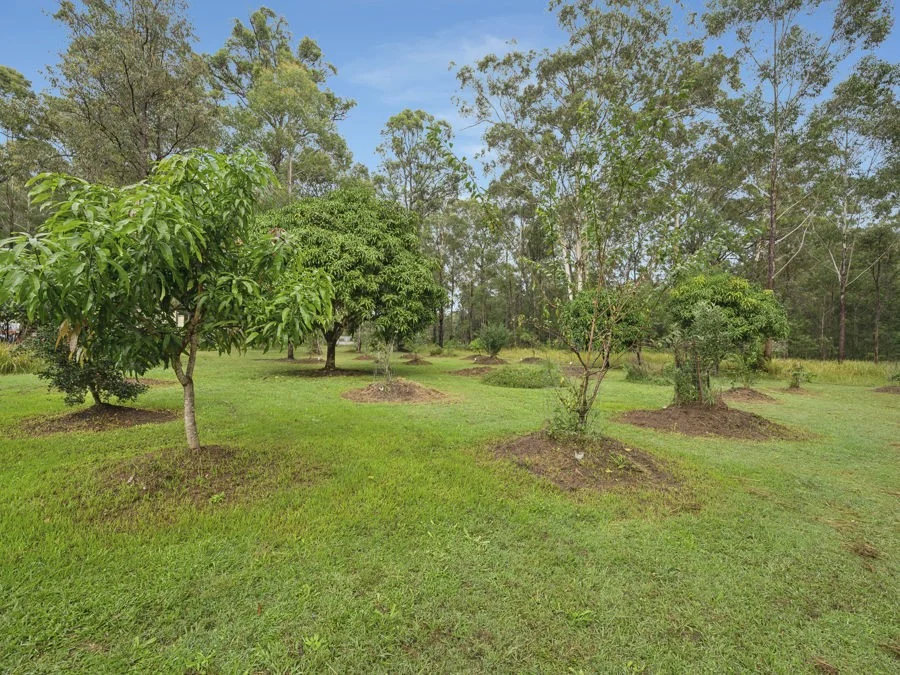 Additional image 10 of 168a Kangaroo Trail Road, Corindi Beach NSW 2456